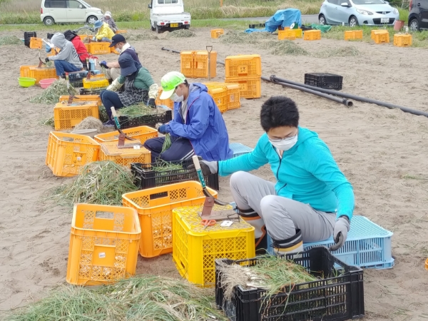 その他の作業(芝作り、農作業など)